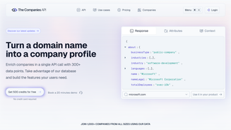 The Companies API 截图